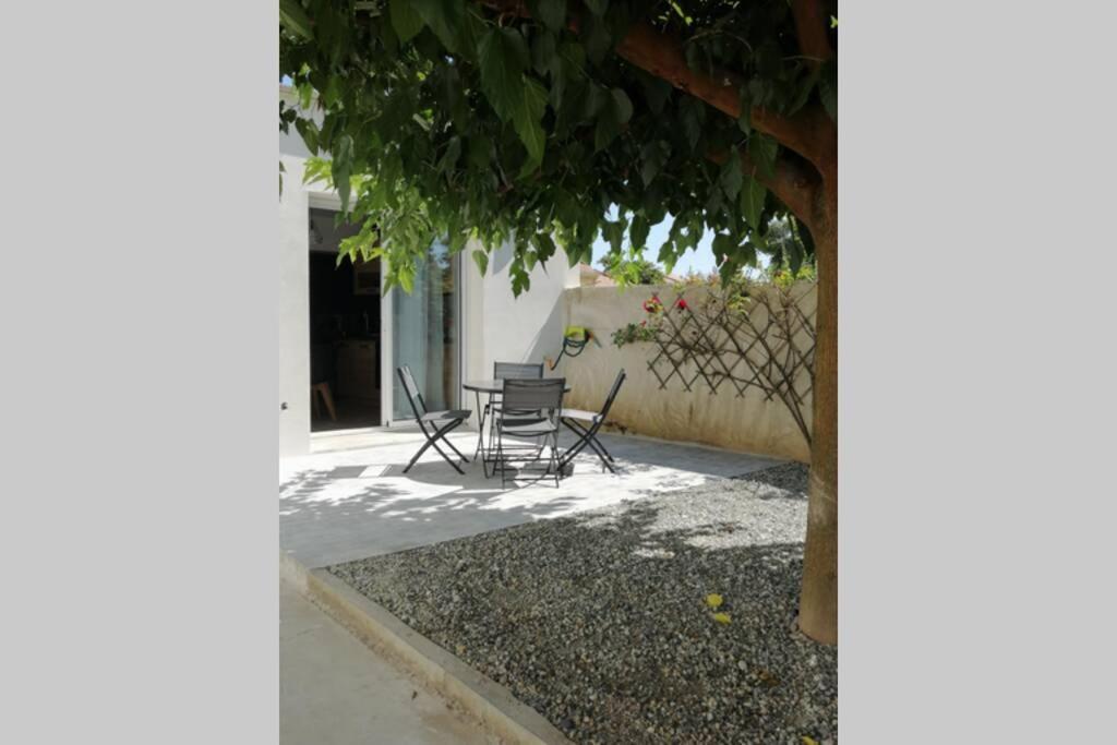 Charmant Appartement Avec Terrasse Pont-de-l'Isere ภายนอก รูปภาพ