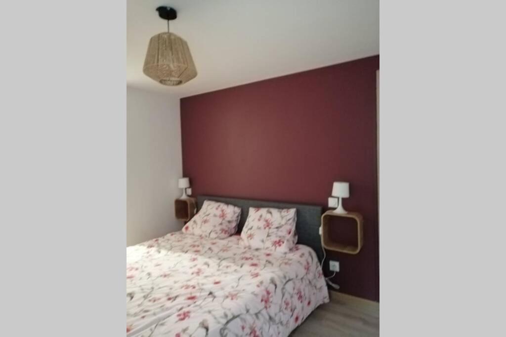 Charmant Appartement Avec Terrasse Pont-de-l'Isere ภายนอก รูปภาพ